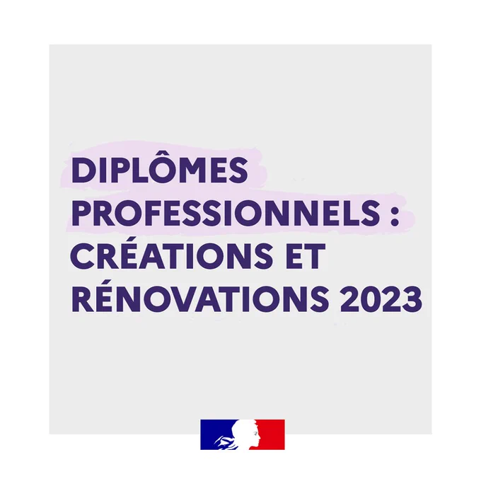 Diplômes professionnels : créations et rénovations 2023