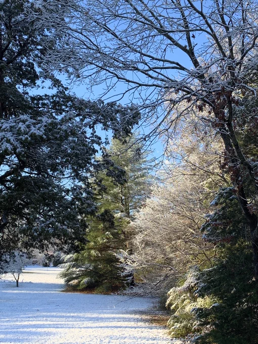 Snow in Ashland, VA after a devastating night of heavy rain, flooding and road closures.