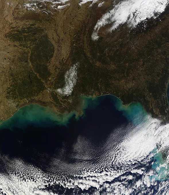 Satellite image of the southern US on December 12, 2008, the day after snow fell across southern Mississippi and southeast Louisiana. The image shows a white area across S MS and SE LA where snow fell on December 11, 2008.