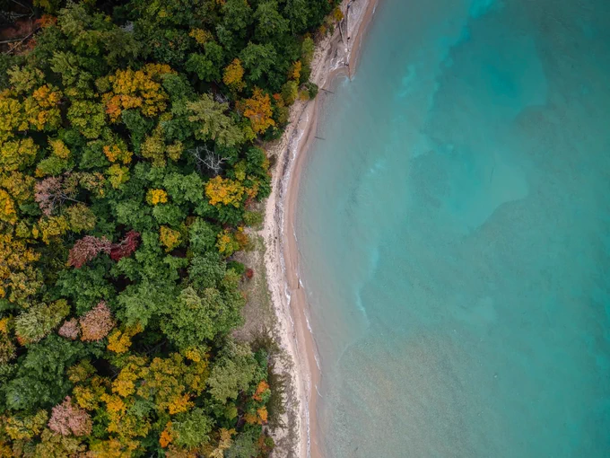 aerial view of a shoreline, with forest on the left and blue water on the right