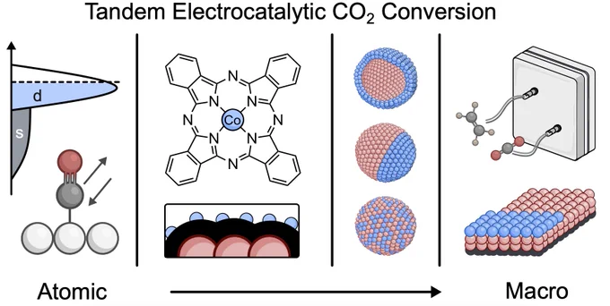 Tandem CO2 Electrolysis - Multiscale Effects
https://pubs.rsc.org/en/content/articlepdf/2024/NR/D3NR05547G?page=search 