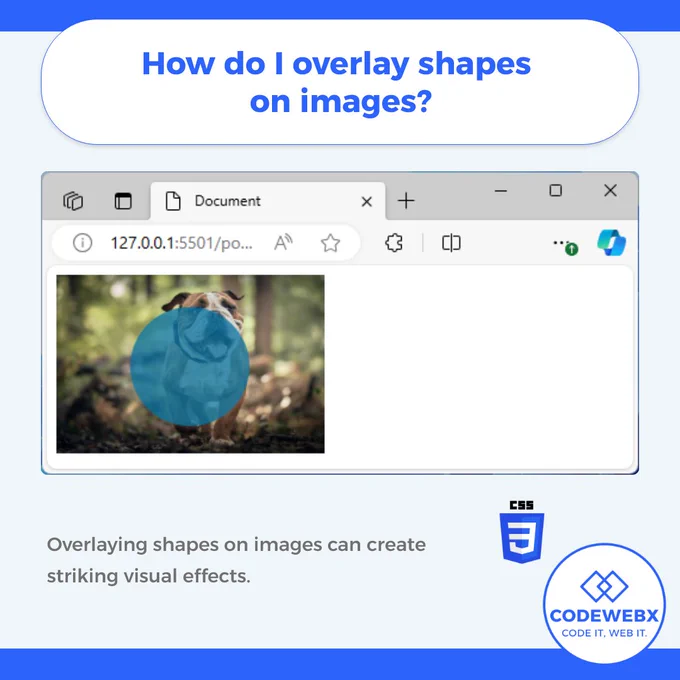 <style>
    .image-container {
        position: relative;
        display: inline-block;
    }
                
    .overlay-circle {
        position: absolute;
        top: 50%; eft: 50%;
        transform: translate(-50%, -50%);
        width: 100px; height: 100px;
        background-color: rgba(8, 119, 163, 0.75);
        border-radius: 50%;
        z-index: 1;
    }
</style>

<div class="image-container">
    <img src="article_5_img/dog-8439530_640.jpg" height="150px">
    <div class="overlay-circle"></div>
</div>