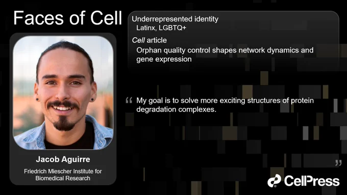 My goal is to solve more exciting structures of protein degradation complexes.