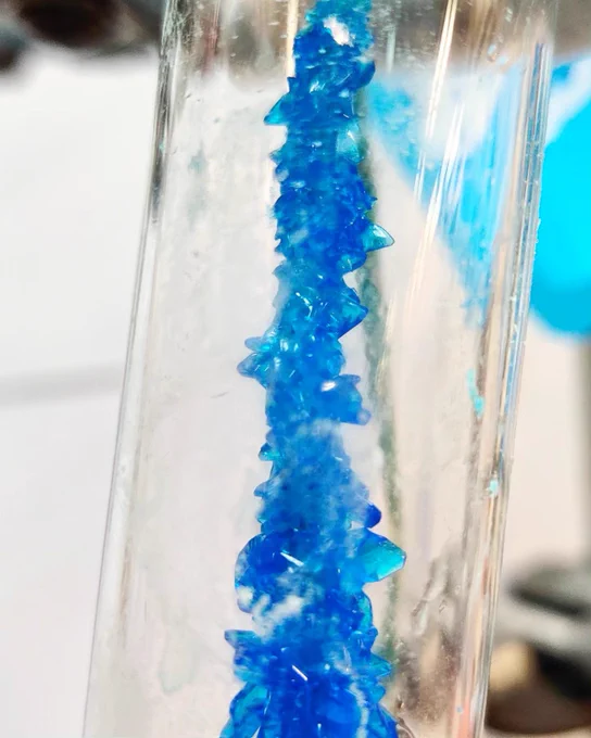 Copper sulfate crystals grown on a piece of string in a test tube