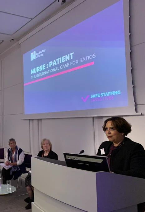 Professor Nicola Ranger addresses global experts at RCN HQ.