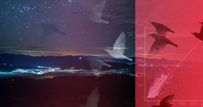A photo illustration showing birds flying toward artificial light at night.
