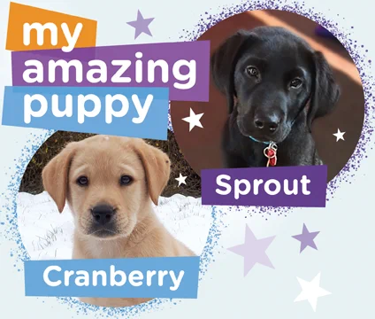 Puppies Sprout and Cranberry 