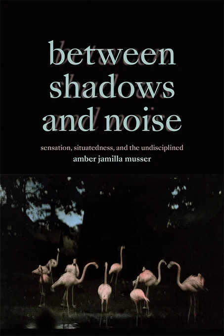 Cover of Between Shadows and Noise: Sensation, Situatedness, and the Undisciplined by Amber Jamilla Musser. Cover features a photograph of ten flamingos wading in water at night. The sky is dark above them, and the trees behind them are outlined in black against the dark blue sky behind them. 