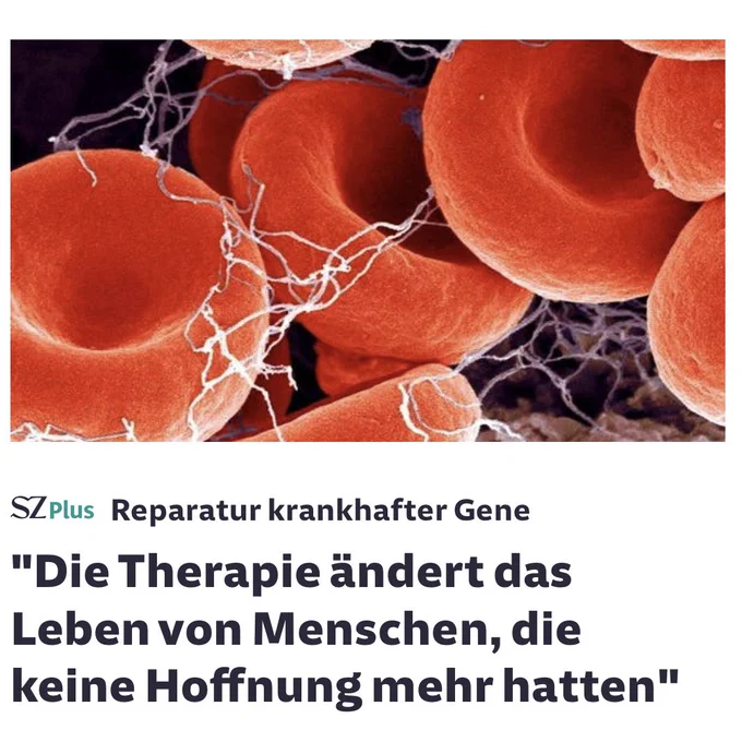 Screenshot: „die Therapie ändert das Leben von Menschen, die keine Hoffnung mehr hatten“ Dazu Bild von roten Blutkörperchen.