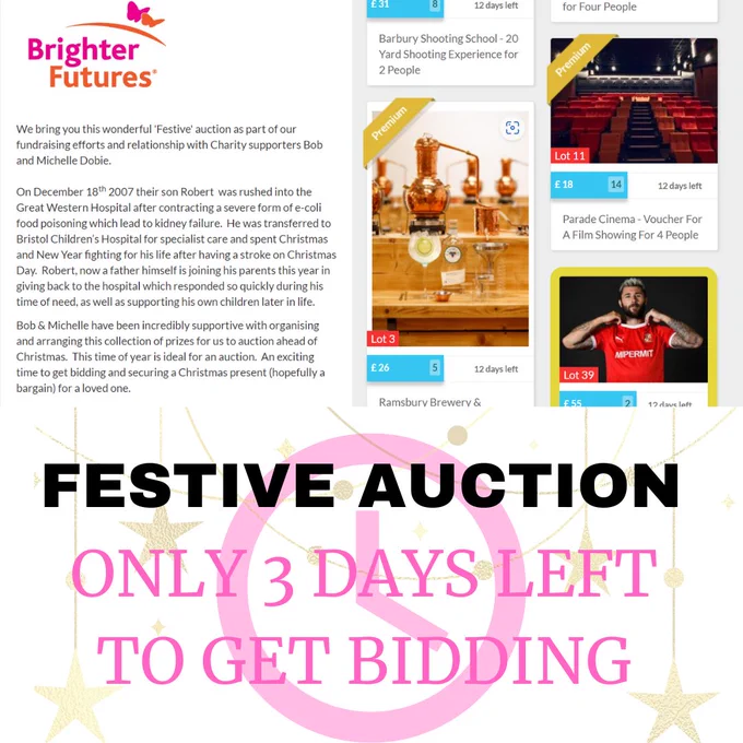 https://www.jumblebee.co.uk/brighterfuturesfestiveauction