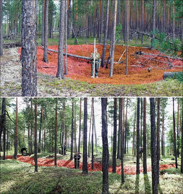 Above: a bank and ditch (highlighted red) marking the remains of a pit house. Below: a visible depression (highlighted red) marking the edge of the fortification.