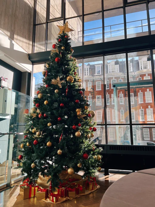 Cavendish Campus Christmas tree