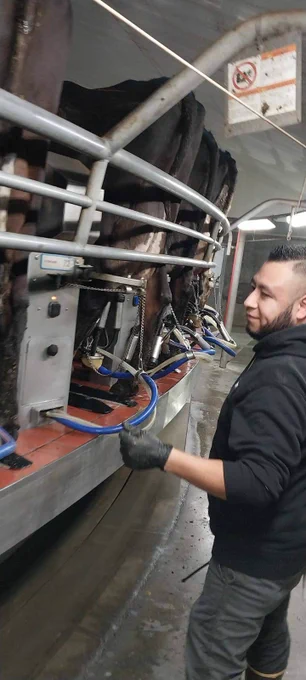 worker at a dairy