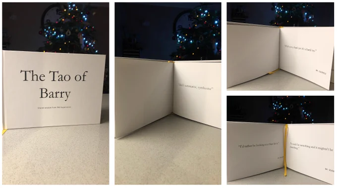 Pictures of a book titled "The Tao of Barry". The first picture is the outside cover, black text on a white background. The next three pictures are of quotes written in black text on a white background. One says, 'don't summarise, synthesis', another says 'I'd rather be looking at it than for it' and 'it could be something and it mightn't be something', and finally, 'if its not a hard yes, its a hard no'. All images have a Christmas Tree in a darkened background with Christmas Trees lights twinkling. 