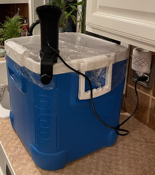 Cooler with immersion circulator connected