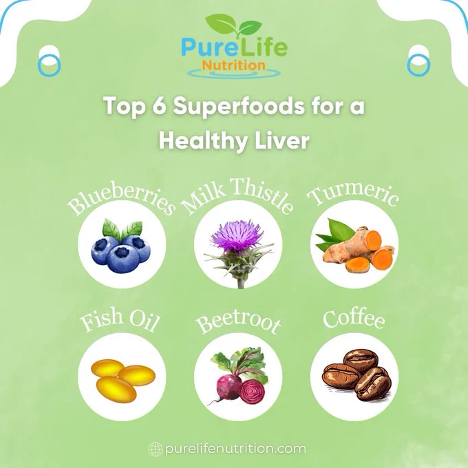 Nourish your liver with Pure Life Nutrition's Top 6 Superfoods! 

🌿💚 Incorporate blueberries, thistle milk, turmeric, fish oil, beetroot, and coffee into your diet for a healthier liver. Discover the power of superfoods at purelifenutrition.com. 
