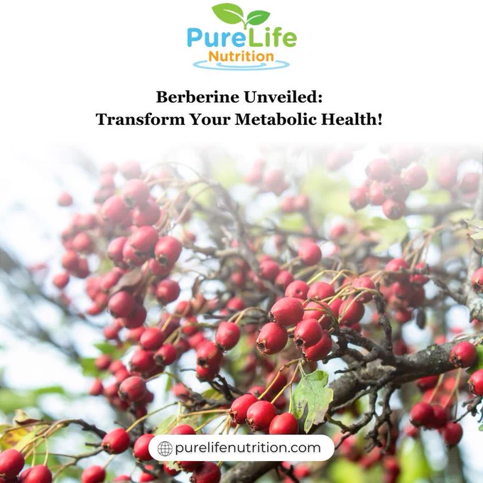 🌱 PureLife Nutrition: Where Vegan Passion Meets Nutritional Precision! 

🌈 Immerse yourself in the goodness of our scientifically-backed supplements, tailor-made for the vibrant vegan community. 

Discover the art of wellness at purelifenutrition.com. 🍀✨
