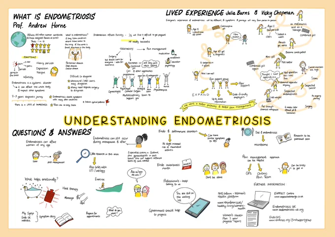 Understanding endometriosis graphic.