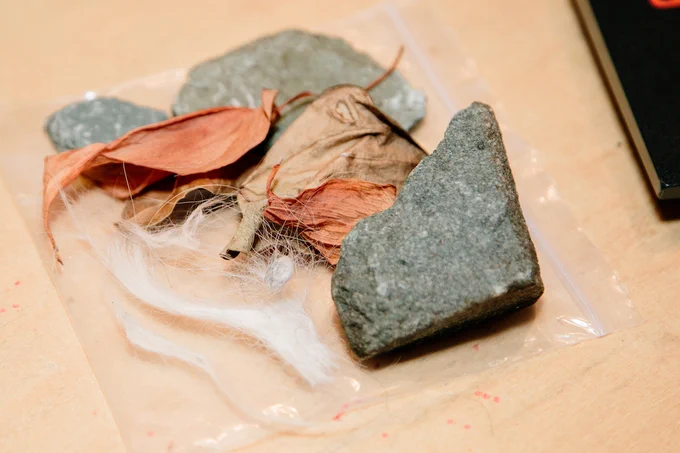 Close-up of a plastic bag containing a few rocks, dry leaves, and white fluff.