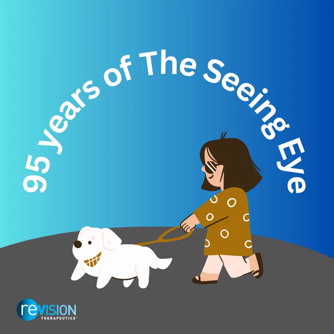 On a blue gradient background, a woman who is blind is seen walking with her guide dog. The text says, “95 years of The Seeing Eye.”