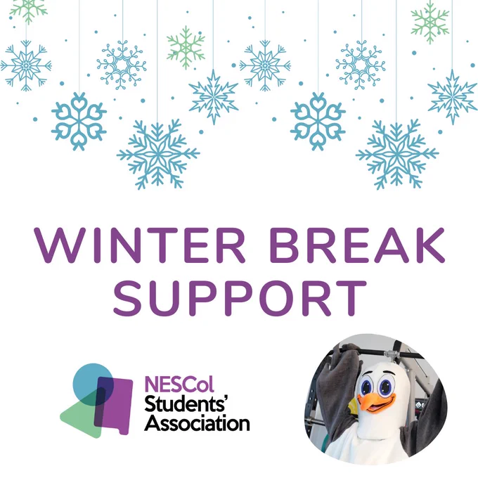 Picture shows blue and green snowflakes on a white background about the NESCol Students' Association Logo and a picture of Steven Seagull