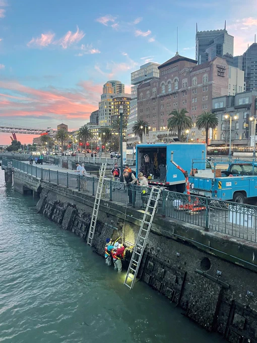 Rows of black tiles line a seawall, beneath a bright city shoreline at sunset. Two ladders are propped against the seawall, while two people work in the water.