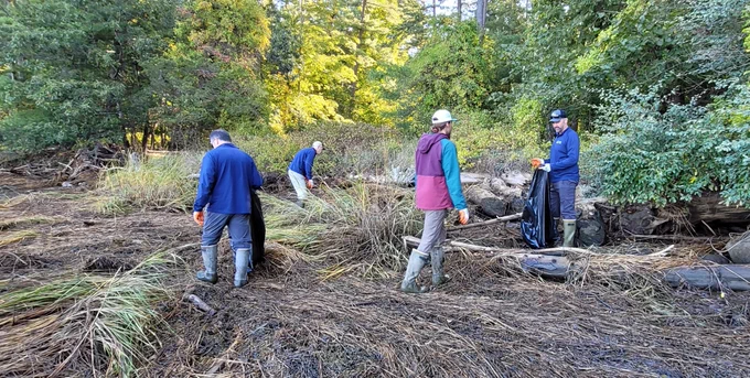 Four people at a coastal shoreline looking for garbage to pick up.
