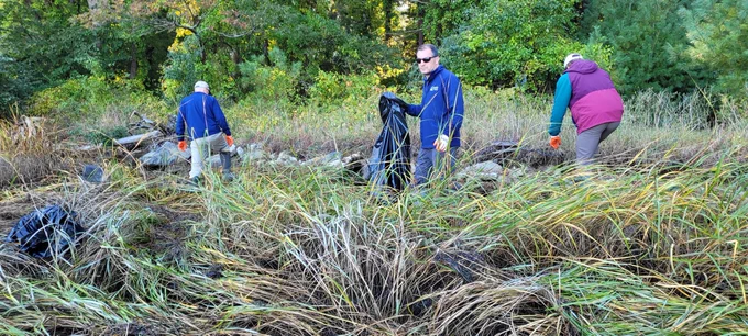 A group of people wade in long shoreline grass collecting garbage.