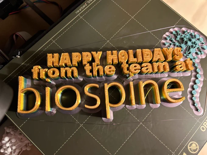 'Happy Holidays from the team at BioSpine' 