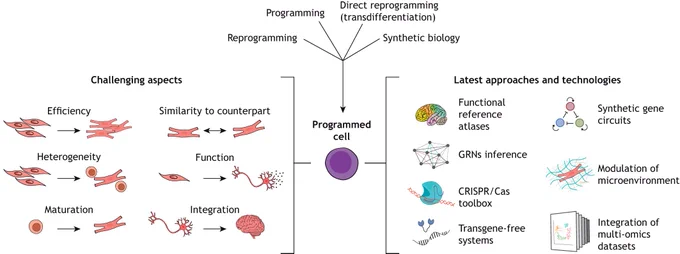 Technological breakthroughs offer solutions to address challenges in achieving the desired cell output