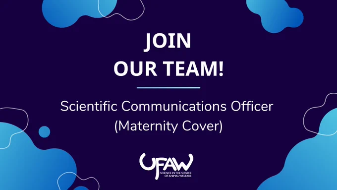 A graphic with a dark blue background, and light blue abstract shapes that look like clouds around the outside. The text reads: Join our team! Science Communications Officer (Maternity Cover). The UFAW logo is displayed at the bottom in the centre of the screen. The UFAW logo reads: UFAW Science in the Service of Animal Welfare.