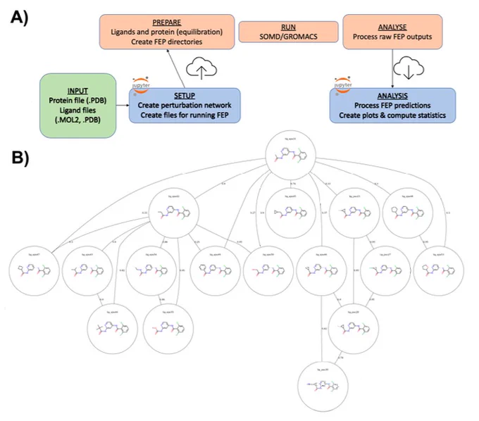 An example network of relative free energy calculations set up with BioSimSpace