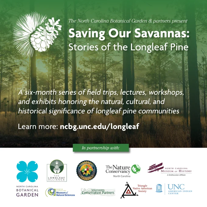 Graphic for Saving Our Savannas: Stories of the Longleaf Pine featuring logos of the program partners.