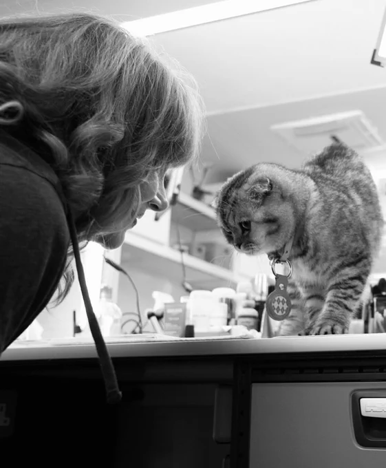 A black & white photo of BDH and Chip inside of a trailer on the set of Argylle. Chip, perched on the countertop, lovingly leans his head toward BDH who does the same.