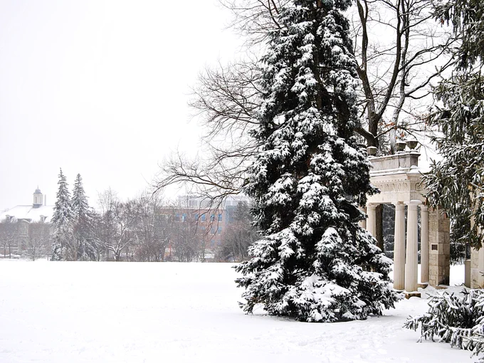 A winter scene; on the left, there is a tall evergreen tree, its branches heavy with fresh snow. The portico structure is to the right, blanketed in snow. In the background, you can see the outline of buildings, likely part of a campus, partially obscured by the falling snow and overcast sky. The ground is covered in an unbroken layer of snow.
