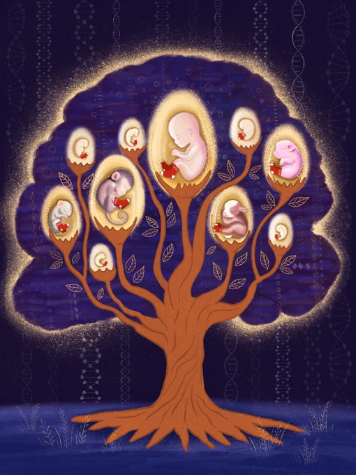 Image by Irina Prisacaru.