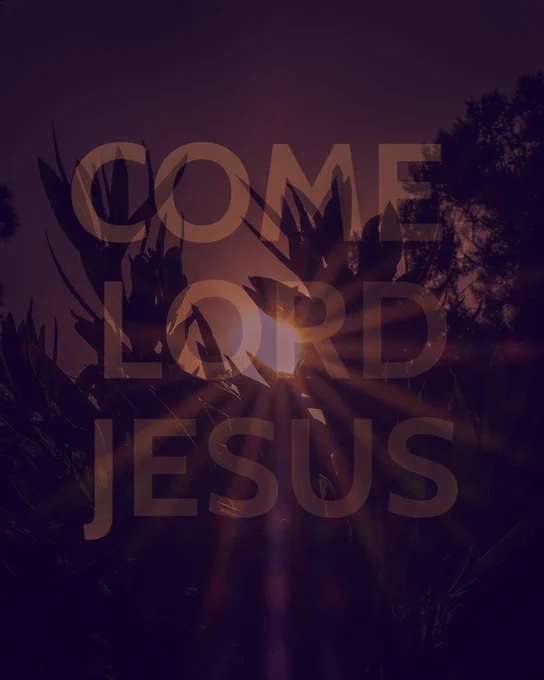An image of the sun breaking through thick vegetation overlaid with the text ‘Come, Lord Jesus’.