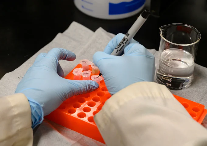hands in blue medical gloves are writing numbers on the tops of small plastic tubes in a lab setting