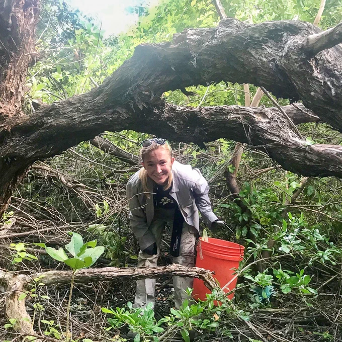Photo shows a member of the Florida Conservation Corps carrying an orange bucket and working in the brush in a state park