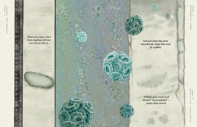 Two-page spread with watercolor illustration of coccolithophores.