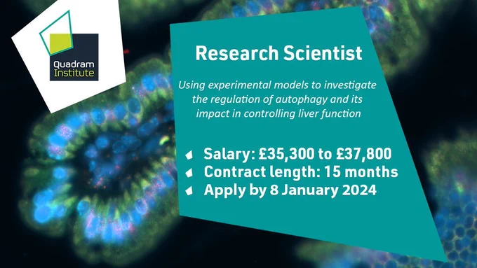 A social card with a microscopy image of liver cells, the Quadram Institute logo and the following text "Research Scientist, using experimental models to investigate the regulation of autophagy and its impact in controlling liver function. Salary: £35,500 to £37,800, Contract length: 15 months. Apply by 8 January 2024".