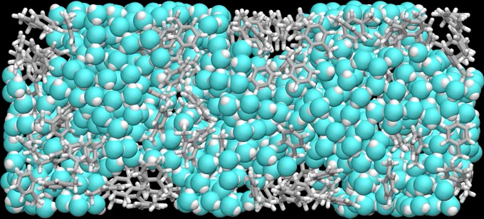 A simulated system rendered using Visual Molecular Dynamics (VMD)