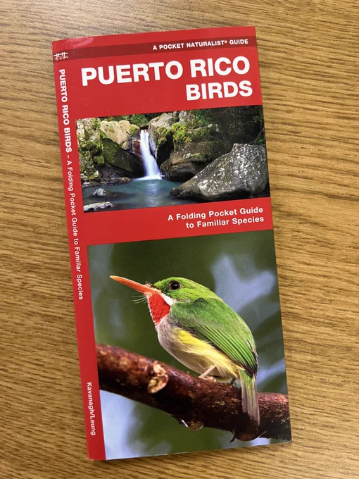Travel/birding guide sitting on wooden table.  It says Puerto Rico Birds and has a photo of a waterfall and a photo of a bird on the cover.