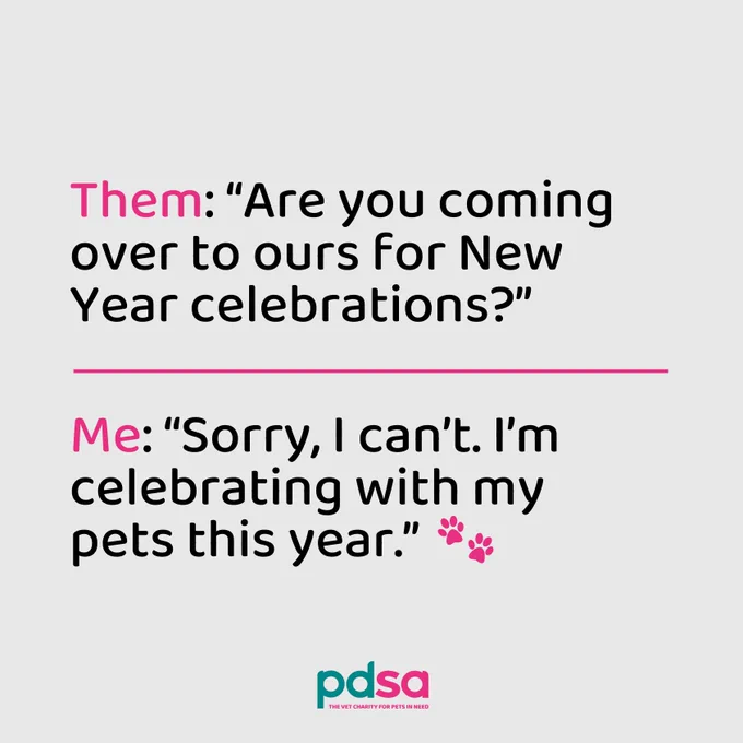 Black and pink text on a light grey background playing out a conversation between friends. It reads: Them: Are you coming over to ours for New Year celebrations? Me: Sorry, I can't. I'm celebrating with my pets this year."