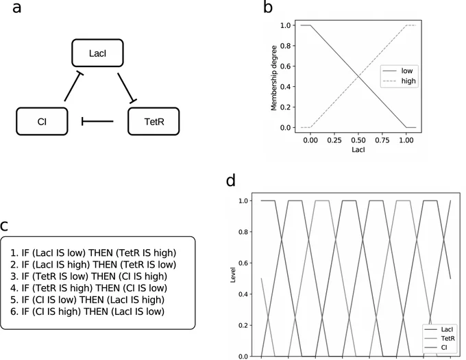 Fig 1. Example of a fuzzy logic-based model representing the repressilator, an oscillatory genetic regulatory network [10].
(a) Schematic representation of the variables present in the model and their interactions. (b) Fuzzy sets representing each of the variable’s states (only LacI is shown). (c) Fuzzy rule base of the model. (d) Resulting oscillatory dynamic of the fuzzy model. We partially adapted these figures from [15], where the original figures were released under the CC BY-NC 4.0 DEED (Creative Commons Attribution-NonCommercial 4.0 International) license.  