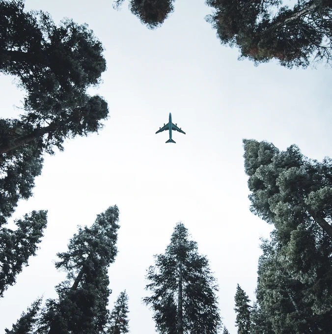 A photo by Sam Willis on Pexels of an airplane directly overhead, surrounded by treetops
https://www.pexels.com/photo/low-angle-photo-of-airplane-1154619/  
