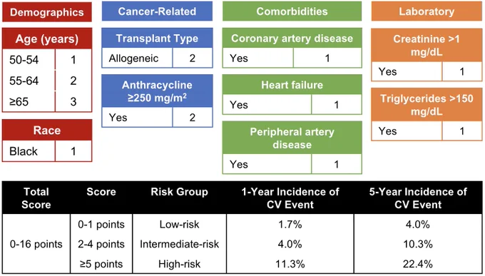 CARE-BMT risk score point assignment and risk categories