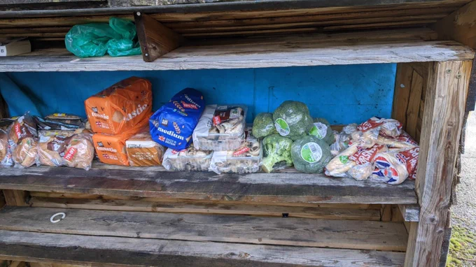 A community larder showing wooden shelves with donated bread, mushrooms, broccoli and parsnips.