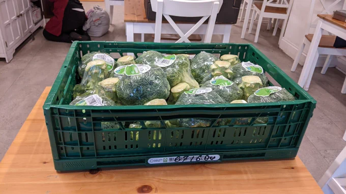A large green crate of donated surplus broccoli.