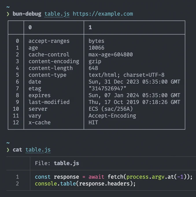 ❯ bun-debug table.js https://example.com
┌────┬──────────────────┬───────────────────────────────┐
│    │ 0                │ 1                             │
├────┼──────────────────┼───────────────────────────────┤
│  0 │ accept-ranges    │ bytes                         │
│  1 │ age              │ 10066                         │
│  2 │ cache-control    │ max-age=604800                │
│  3 │ content-encoding │ gzip                          │
│  4 │ content-length   │ 648                           │
│  5 │ content-type     │ text/html; charset=UTF-8      │
│  6 │ date             │ Sun, 31 Dec 2023 05:35:00 GMT │
│  7 │ etag             │ "3147526947"                  │
│  8 │ expires          │ Sun, 07 Jan 2024 05:35:00 GMT │
│  9 │ last-modified    │ Thu, 17 Oct 2019 07:18:26 GMT │
│ 10 │ server           │ ECS (sac/256A)                │
│ 11 │ vary             │ Accept-Encoding               │
│ 12 │ x-cache          │ HIT                           │
└────┴──────────────────┴──────